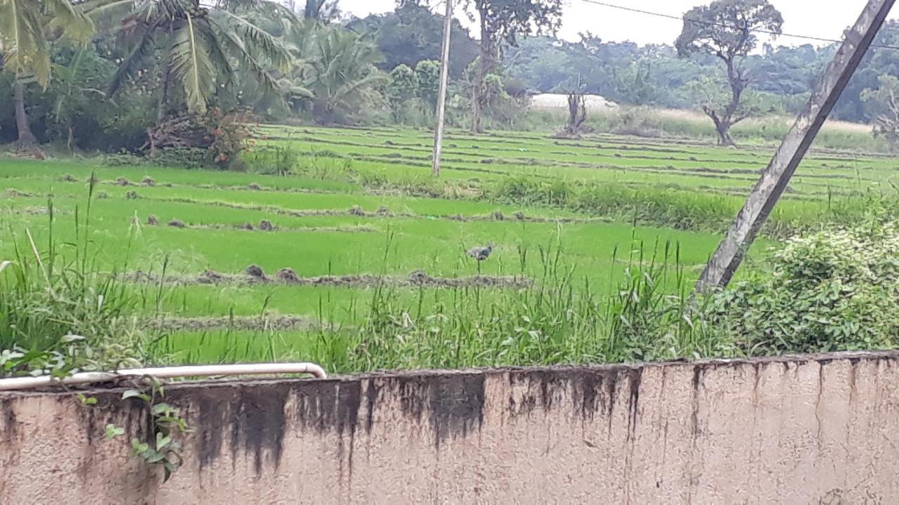 Isiwara Paura Bugged Apartment Sigiriya Exterior photo